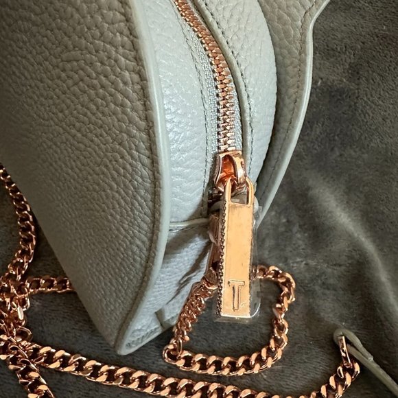 Ted Baker Kirstie Cat Leather Crossbody Bag / Clutch - Gray/Rose Gold - Picture 5 of 7